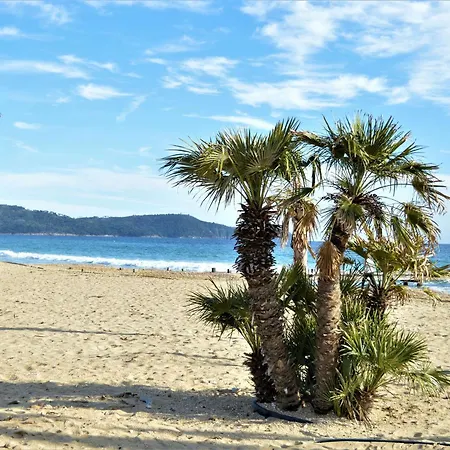 Studio/cabine A 80m De La Avec Terrasse, Jardinet Et Garage - - Fr-1-226b-140 Cavalaire-sur-Mer